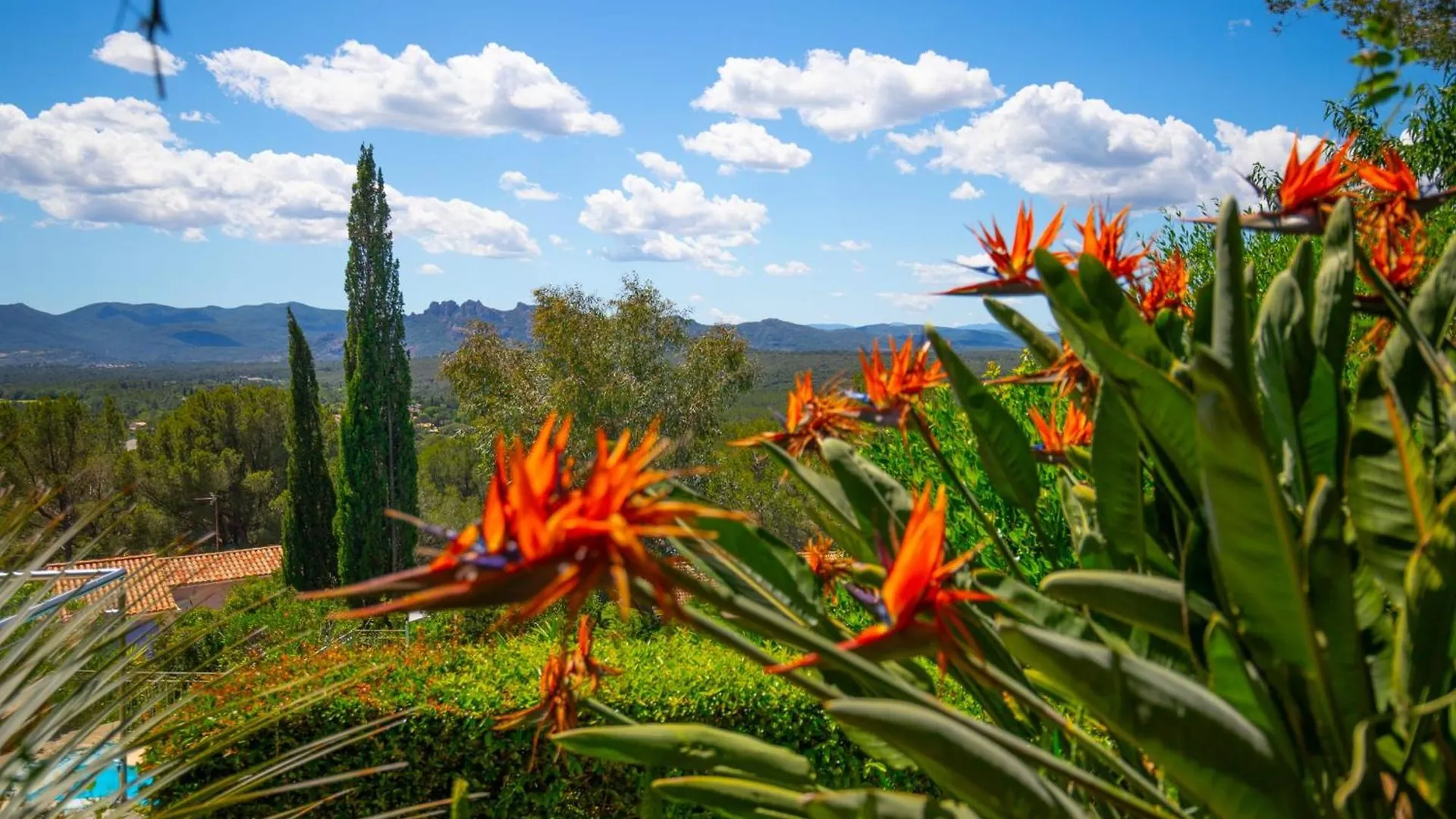 Villa 10 People With Private Pool Near Saint-Tropez Roquebrune-sur-Argens France